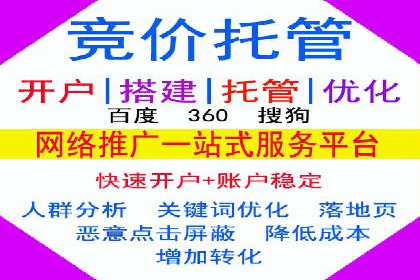 某行业SEM主管的优化策略与成果展示